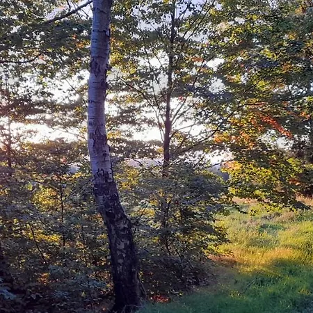 Medium Casa de Férias *