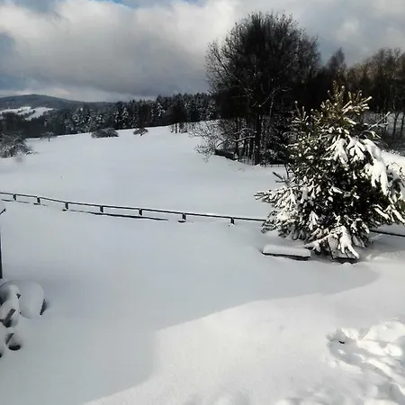 Medium * Krásná Lípa