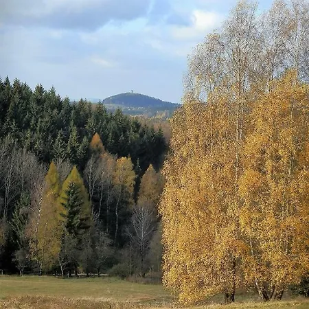 Medium * Krásná Lípa